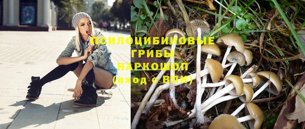 марки nbome Аркадак